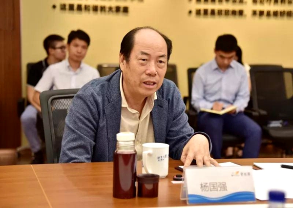 碧桂园集团董事局主席 杨国强